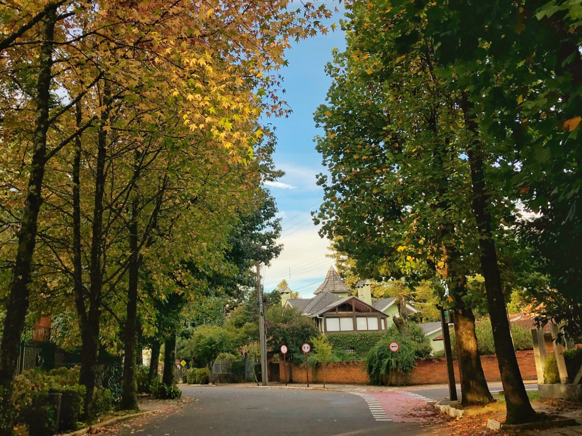 O que é mais importante: o imóvel ou o bairro? Descubra o segredo para escolher bem em Gramado